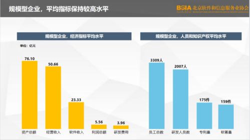 2021北京軟件企業(yè)核心競爭力評價報告 發(fā)布